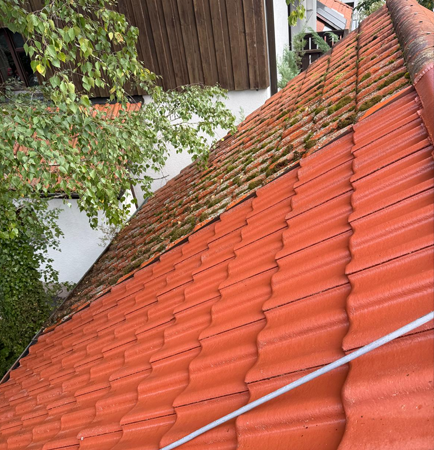 Projekt – MS Dienstleistungen 17