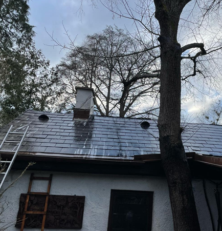 Projekt – MS Dienstleistungen 19