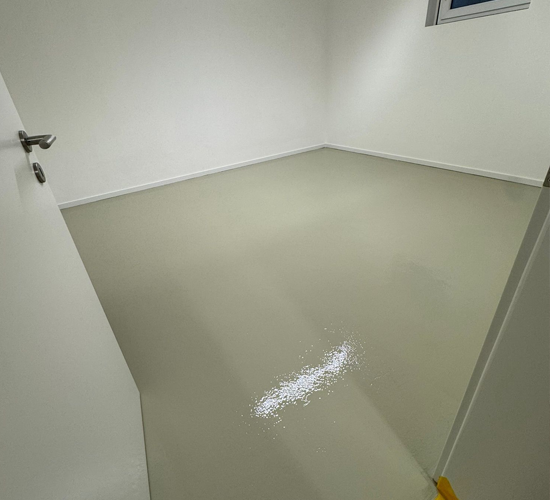 Projekt – MS Dienstleistungen